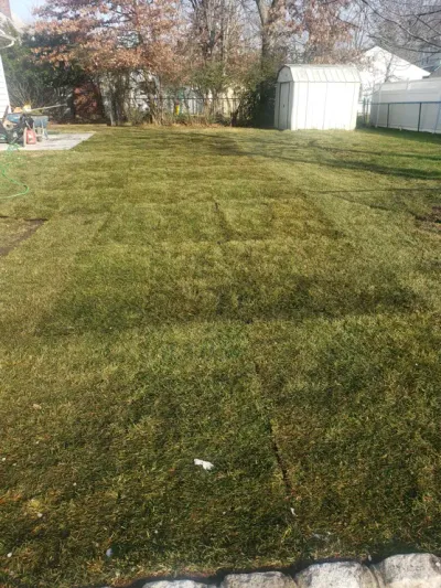 Sod Installation Service by MAC Paving and Sealcoating – Landscaping and Custom Driveway Solutions in New Jersey.